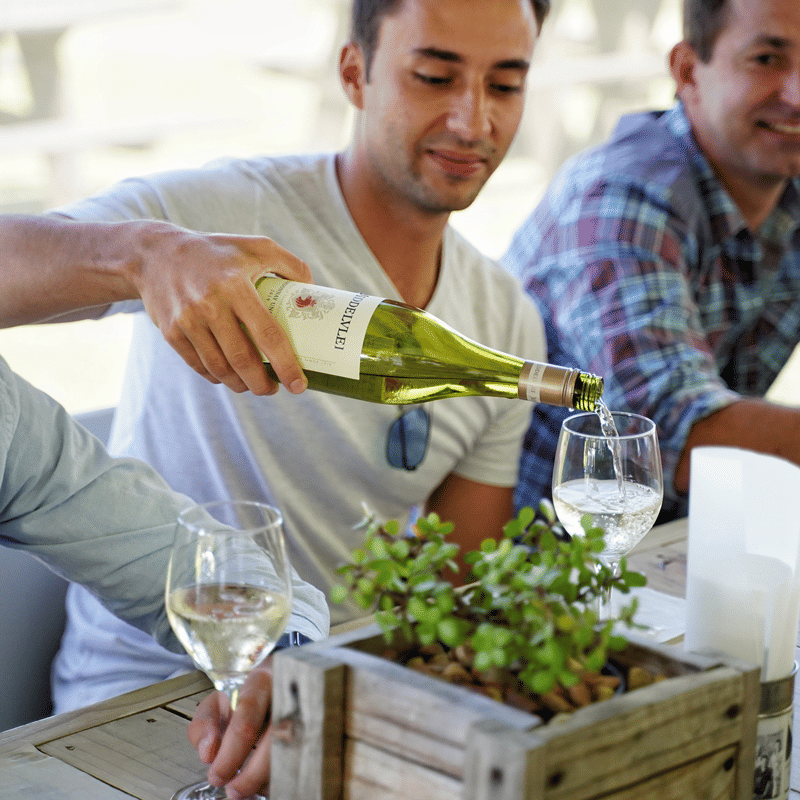 Guests clinking glasses of wine after creating their blend at Middelvlei Wine Estate wine-blending session.