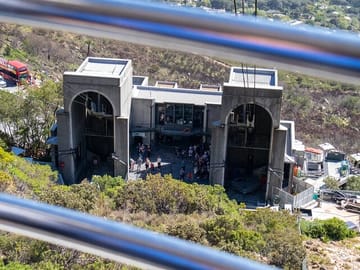 Cape Town Half-Day Tour: Table Mountain, Penguins, and Wine Tasting