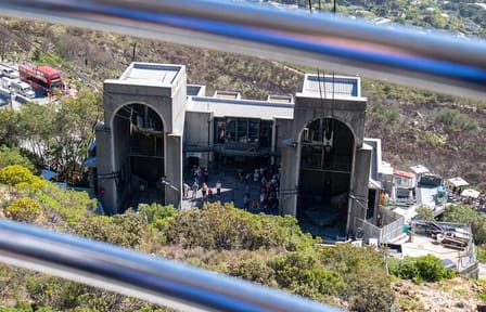 Table Mountain, Chapmans Peak , Penguins and Wine Tasting