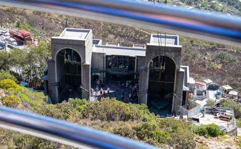 Cape Town Half-Day Tour: Table Mountain, Penguins, and Wine Tasting