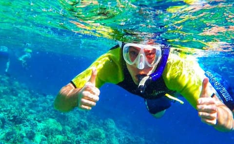 Snorkeling and Ziplining Adventure in West Bay, Honduras