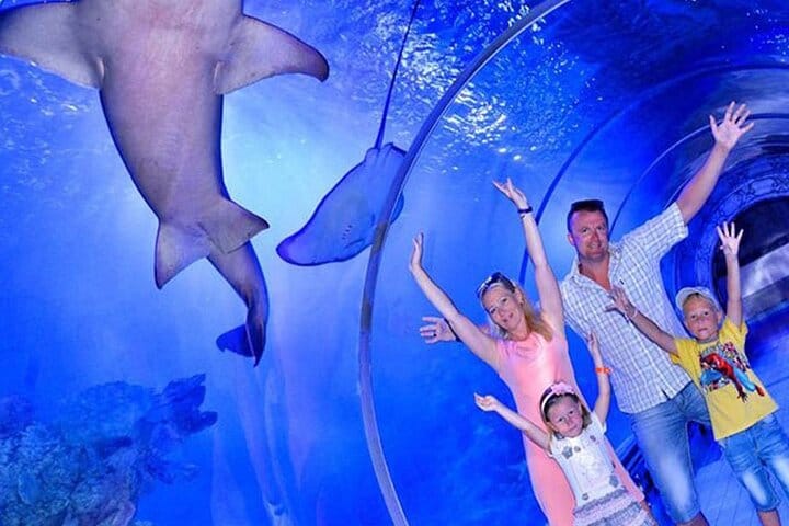 Hurghada Grand Aquarium Discovery Tour with Tickets & Transfers
