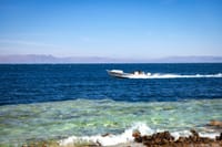 Private Diving in Blue hole and camping in Blue Lagoon 10
