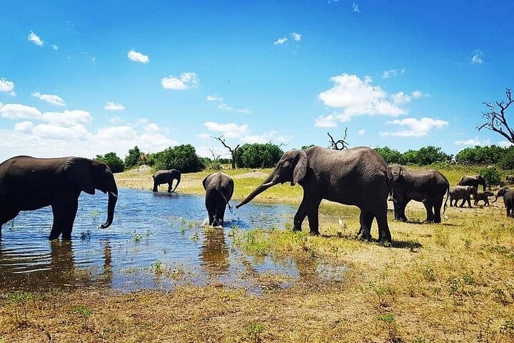 Private 3-Day Safari Tour at Murchison Falls National Park