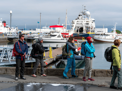 Private Reykjavik City Tour in Multi-Language Guide Options, photo 5