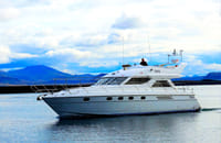 Puffin Watching Yacht Cruise from Downtown Reykjavík – Small Group Experience 7