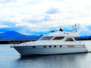 Puffin Watching Yacht Cruise from Downtown Reykjavík – Small Group Experience, photo 7