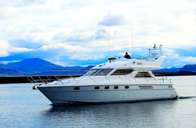 Puffin Watching Yacht Cruise from Downtown Reykjavík – Small Group Experience 7