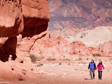 Cafayate Vineyards and Calchaquies Valleys Day Trip from Salta