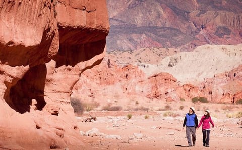 Cafayate Vineyards and Calchaquies Valleys Day Trip from Salta