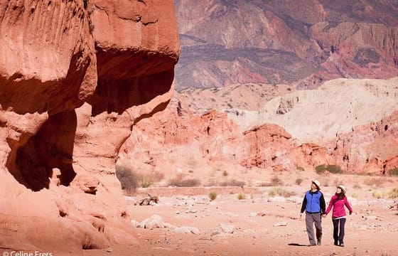 Cafayate, Vineyards and Calchaquies Valleys Tour from Salta