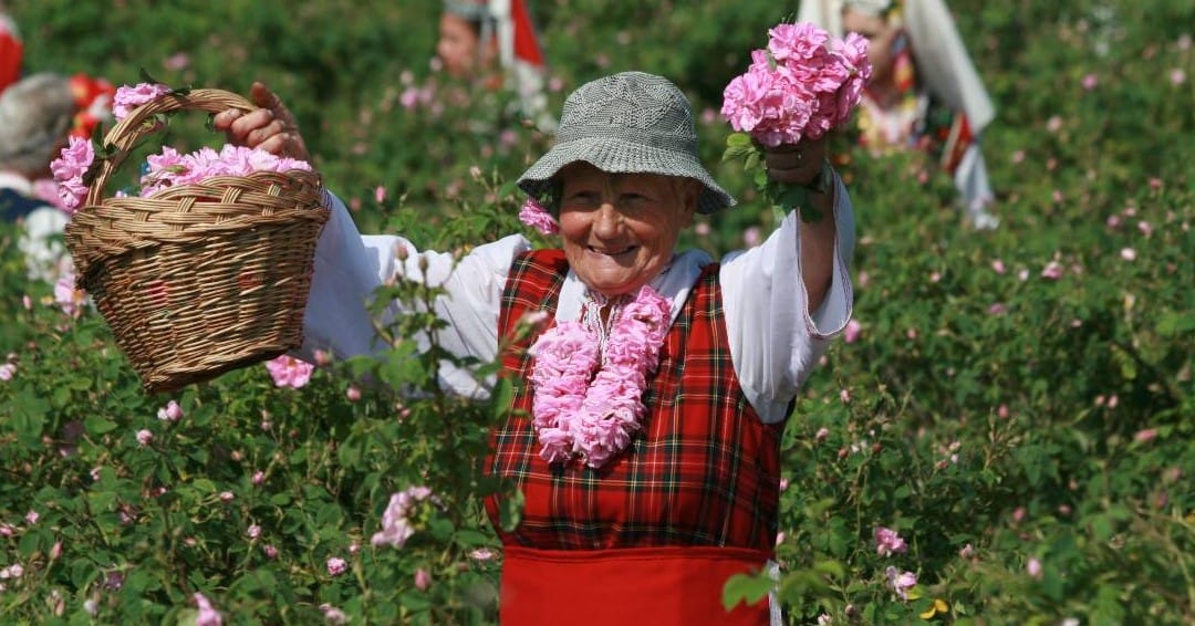 Buzludzha monument and Valley of Roses tour