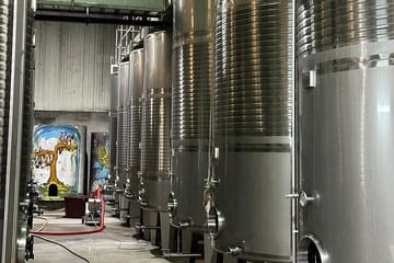 Private Green Wine Tour to Guimarães or Amarante from Porto