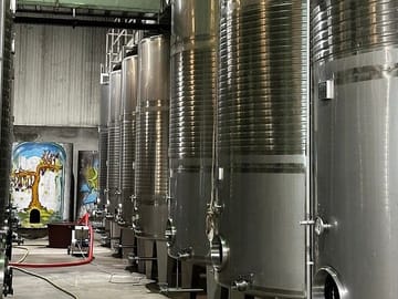 Private Green Wine Tour to Guimarães or Amarante from Porto