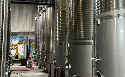 Private Green Wine Tour to Guimarães or Amarante from Porto