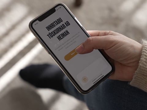 The BagBee website is both mobile and desktop suitable, in English and Icelandic.