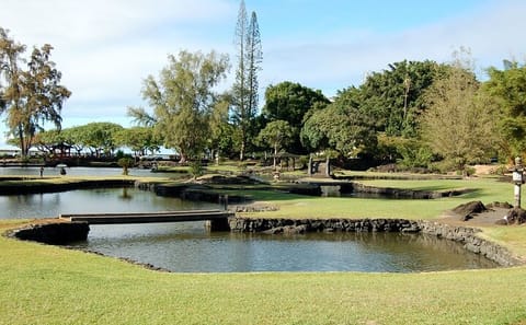 Hilo Volcanoes and Waterfalls Guided Tour in Big Island