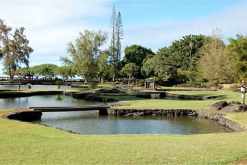 Hilo Volcanoes and Waterfalls Guided Tour in Big Island