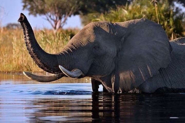 15 minutes scenic helicopter flight above Victoria Falls-Zimbabwe