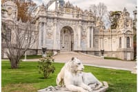 Istanbul Full-Day Dolmabahce Palace With Bosphorus Cruise 6