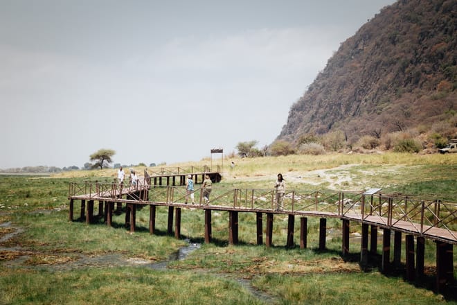 From Arusha: Day Trip to Lake Manyara National Park 5