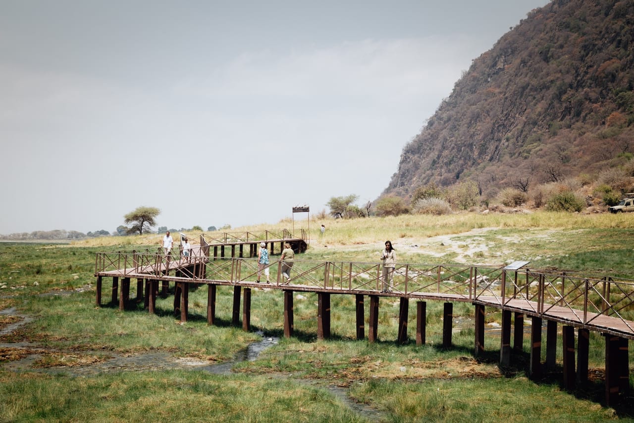 From Arusha: Day Trip to Lake Manyara National Park 5