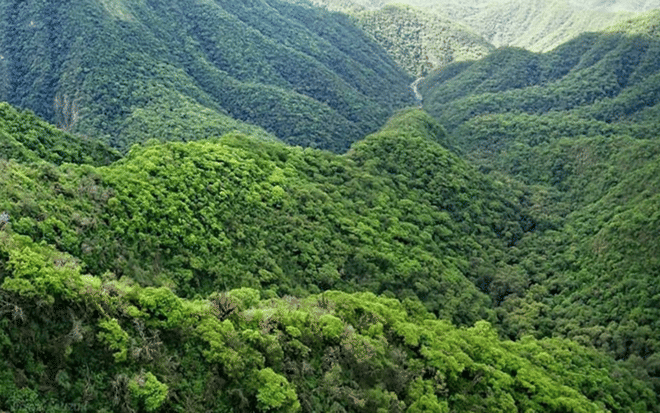 Tucumán: Yungas and its landscapes