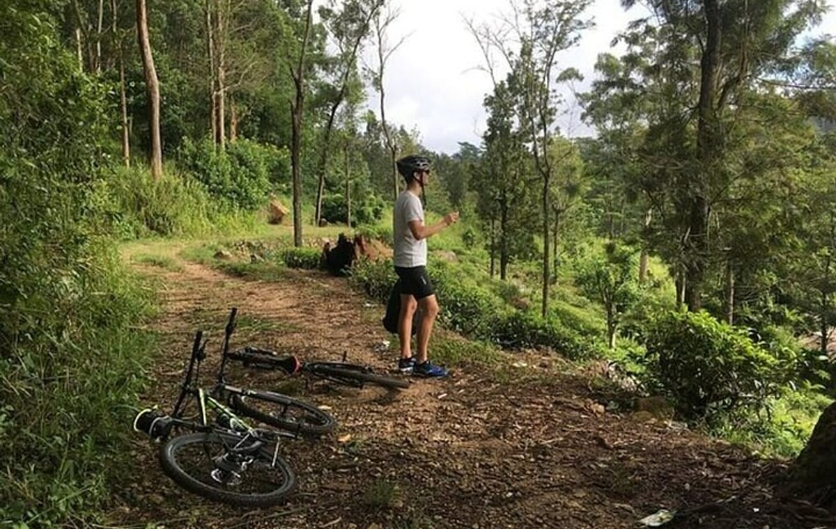 Mountain biking around Tea Trails in Kandy