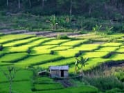 Cunca Wulang Waterfall & Rangko Cave – Full Day Nature Escape 5