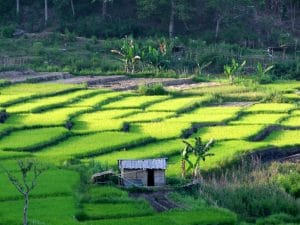 Cunca Wulang Waterfall & Rangko Cave – Full Day Nature Escape 5
