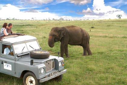 DISCOVER SRI LANKA – ( Culture,Religon, Arts,History)