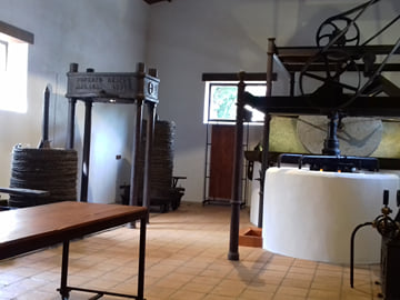 From Jaen: Oil Mill Private Visit