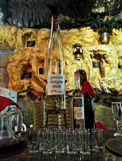 Melnik Self-Guided