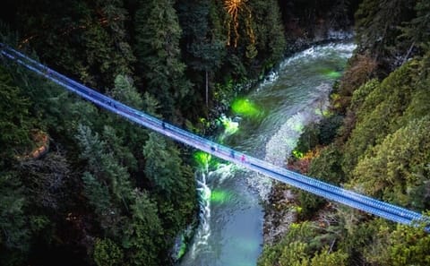 Private Full Day Adventure Tour of Vancouver Highlights