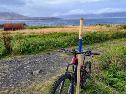 Hrísey island private E-mtb tour, photo 5