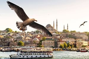 Bosphorus Cruise Boat Tour 3 Hours Tour With 1 Hour Stop in European Side