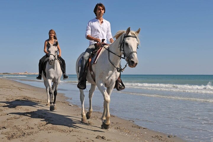 Horse Riding on the beach With Transfer From Sharm El Sheikh