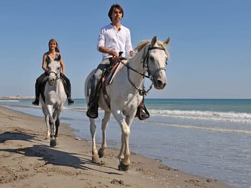 Horseback Riding on Sharm El Sheikh Beaches with Transfers