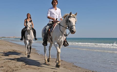 Horseback Riding on Sharm El Sheikh Beaches with Transfers