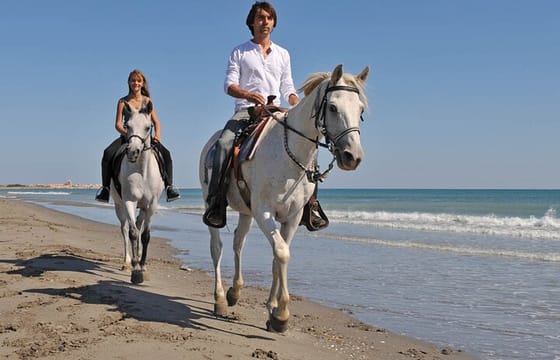 Horse Riding on the beach With Transfer From Sharm El Sheikh