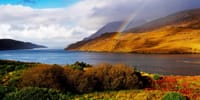 Sea kayaking in Killary fjord. Delphi. Mayo. Guided. 3 hours. 4