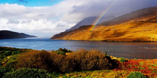 Sea kayaking in Killary fjord. Delphi. Mayo. Guided. 3 hours. 4