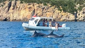 From Olbia: RIB tour to Capo Figari with dolphin sighting