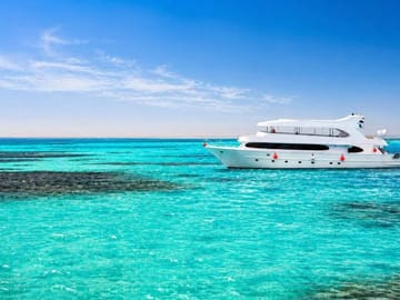 Marsa Alam Snorkeling Trip With Dugong And Turtles Marsa Mubarak