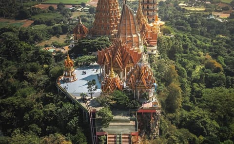 Cultural Sightseeing Tour of Bangkok and Ayutthaya