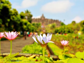 Borobudur Temple Sunset Tour with Jeep Ride and Lunch