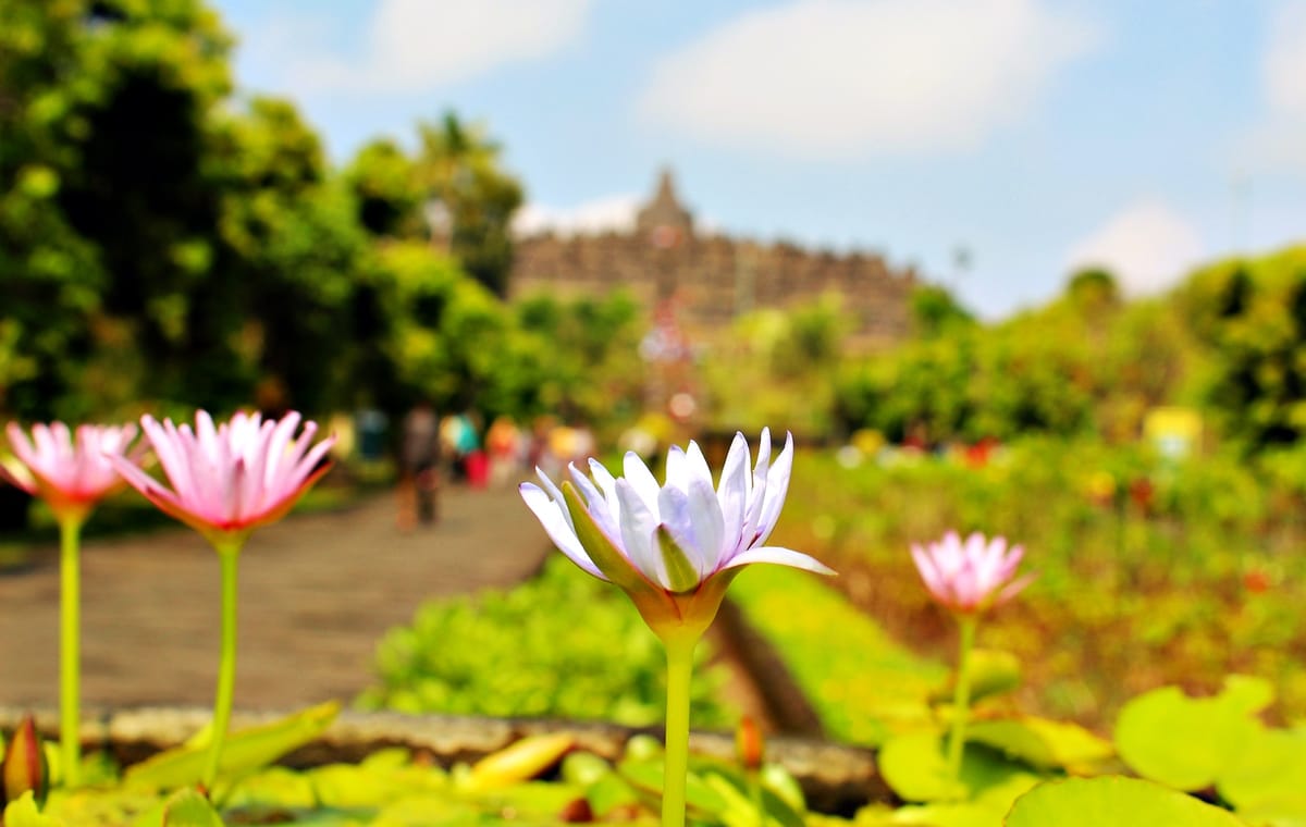 Borobudur Temple Sunset Tour with Jeep Ride and Lunch