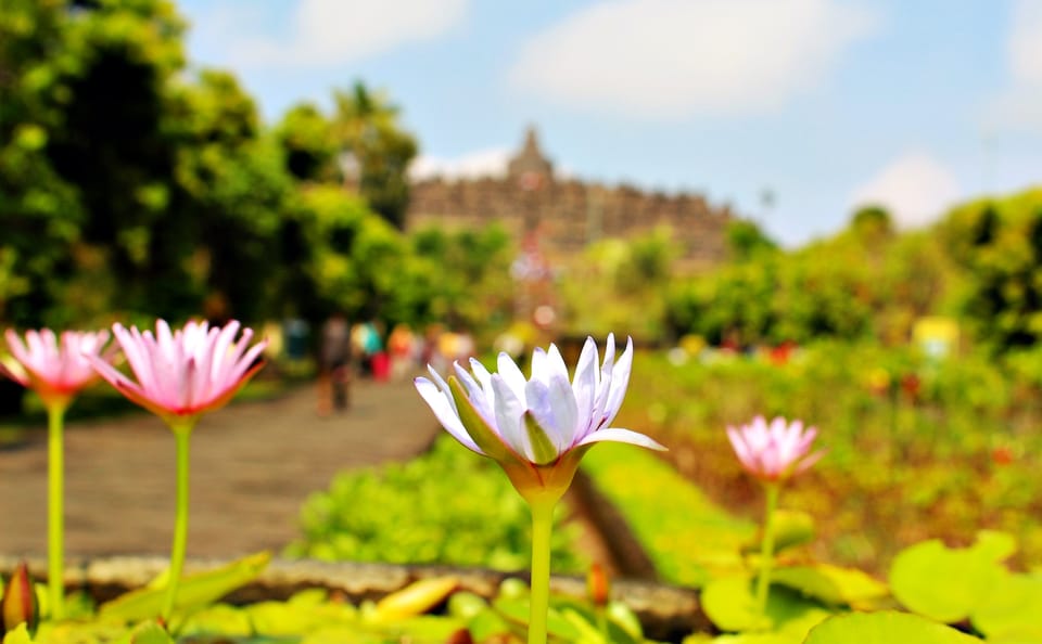 Borobudur Temple Sunset Tour with Jeep Ride and Lunch