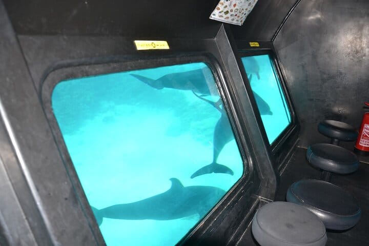 El Gouna Semi Submarine Sea Trip 2 Hours From Abu Tig Marina