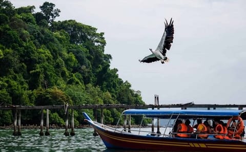 Langkawi Ultimate Private Island Hopping Experience Just for You!
